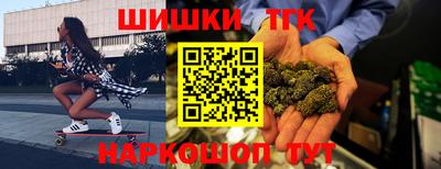 бошки Кингисепп