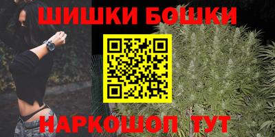 бошки Кингисепп