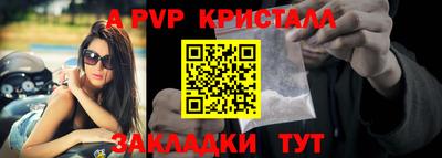 бошки Кингисепп