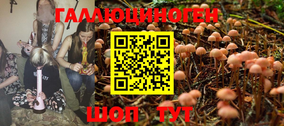 Псилоцибиновые грибы MAGIC MUSHROOMS  купить   Карачаевск  Вход с VPN 